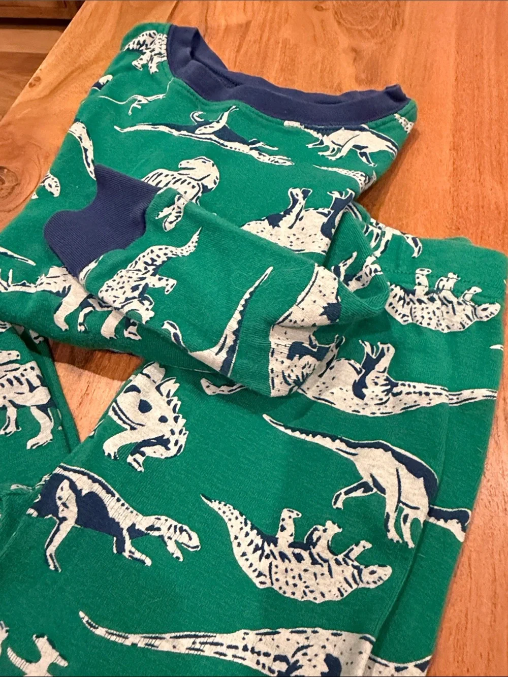 NWOT Carter's Dinosaur Matching Pajama Set